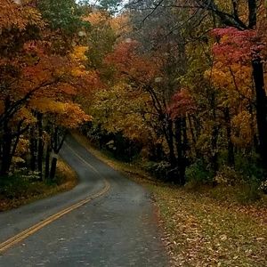 Meet your Posher, Silvia